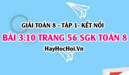 Giải bài 3.10 trang 56 Toán 8 Tập 1 SGK Kết nối tri thức